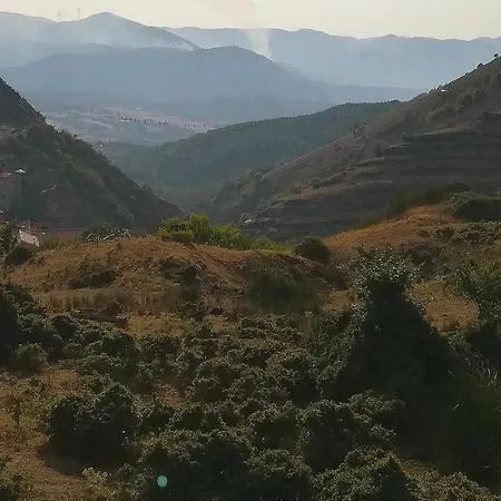 Petra Castalda *