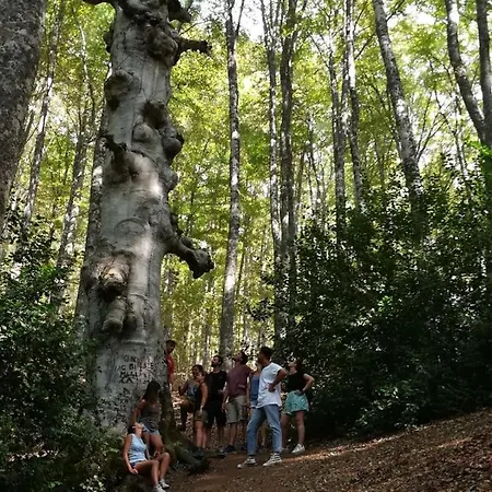 Petra Castalda Bed & Breakfast 3*