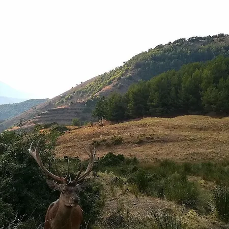 Petra Castalda Bed & Breakfast