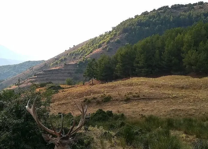 Petra Castalda Bed & Breakfast